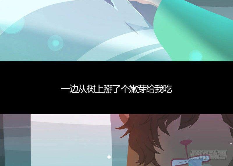 荤与素14