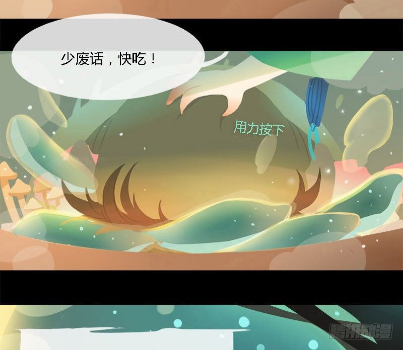 长生雾17