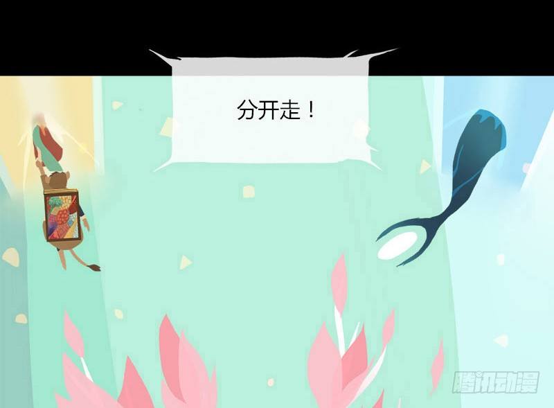 共生莲9