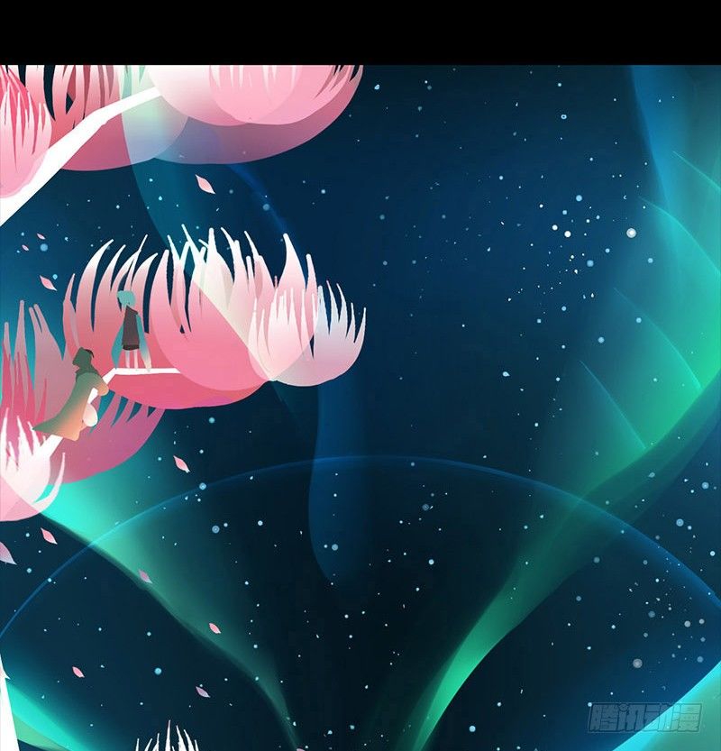 星与光与花2