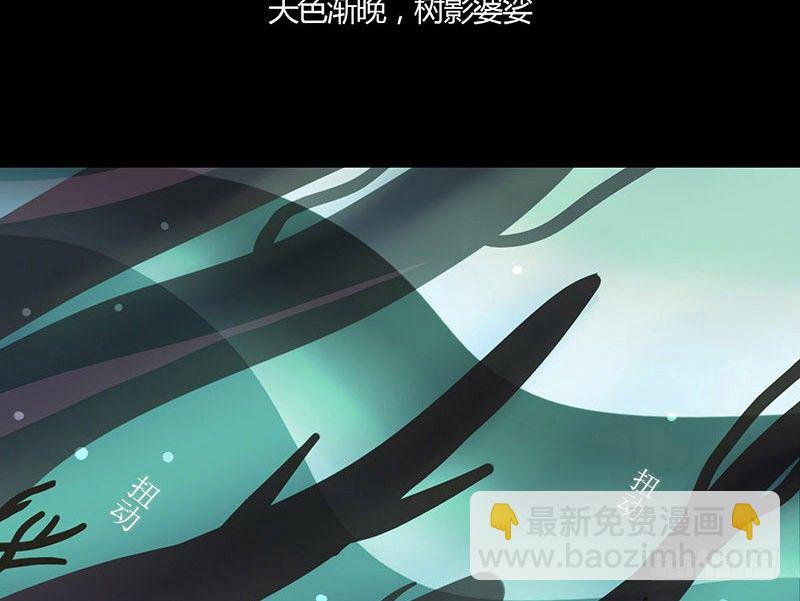 荤与素24