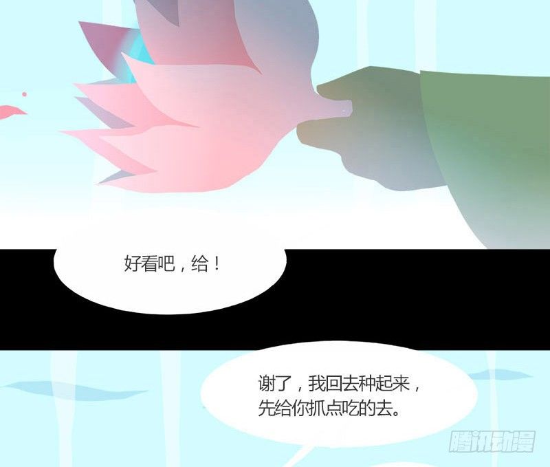 复生莲6