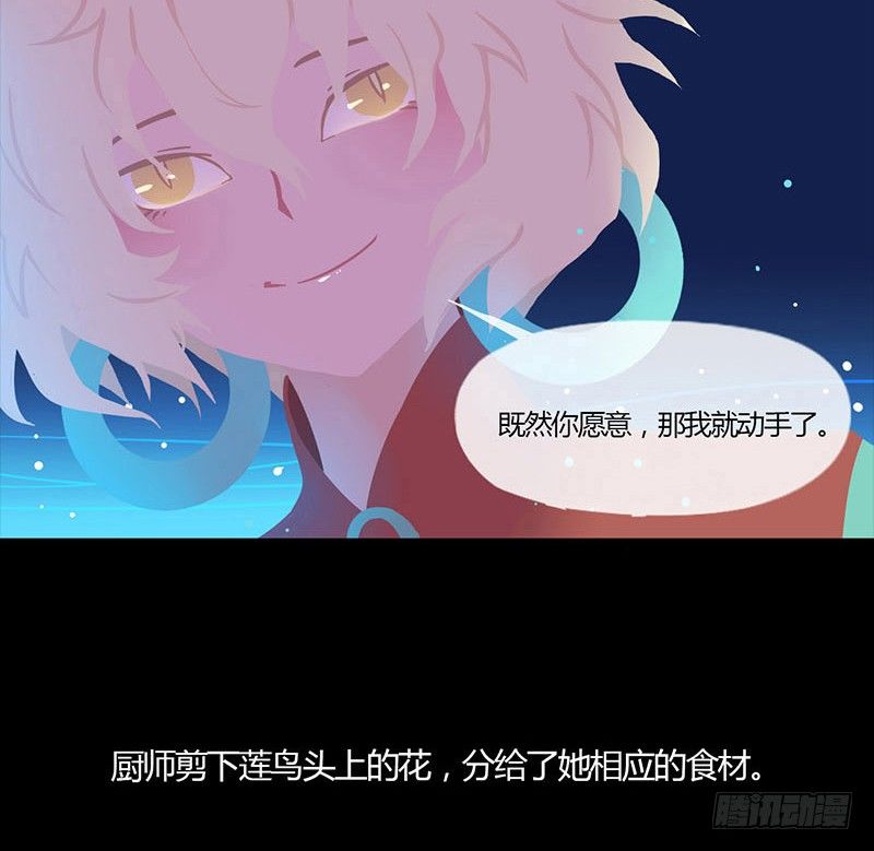睡莲15