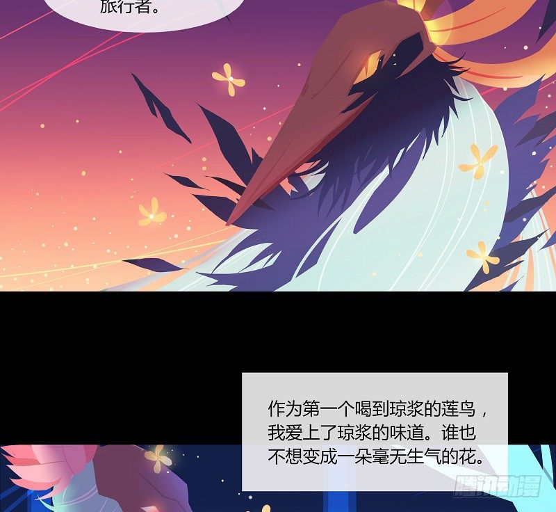 溯源鸟 下20