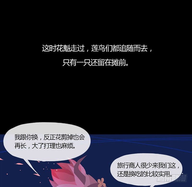 睡莲13