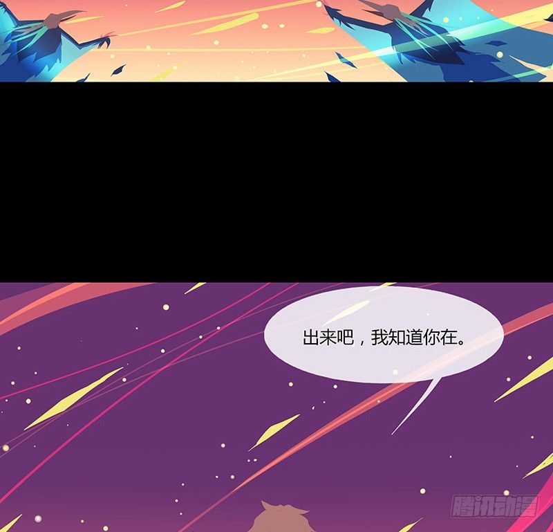 溯源鸟 下14