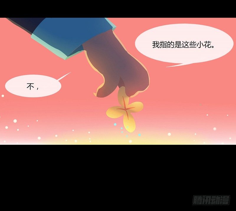 溯源鸟 上2