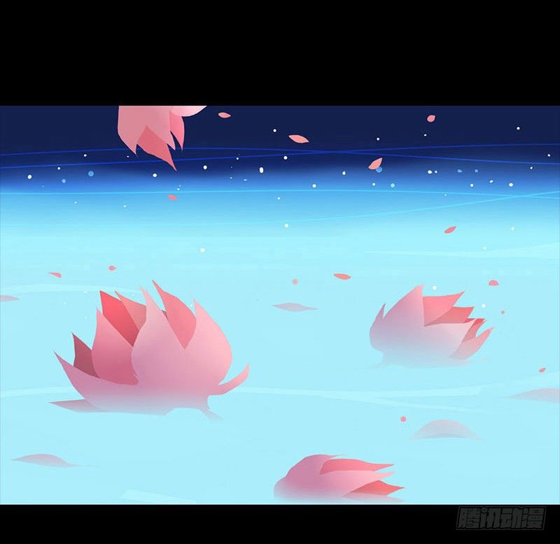 睡莲16