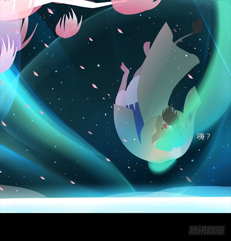 星与光与花7