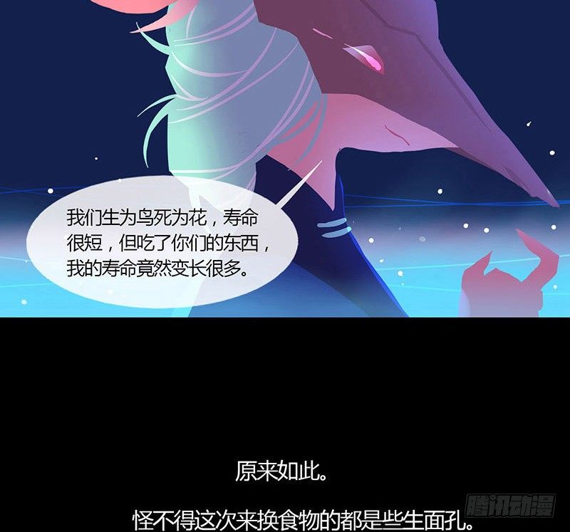 睡莲24