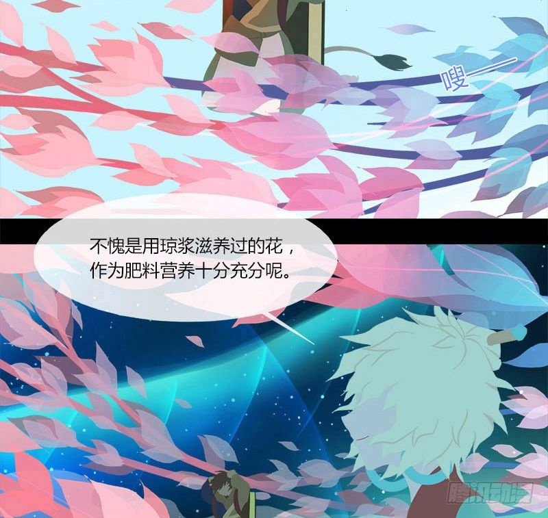 共生莲25