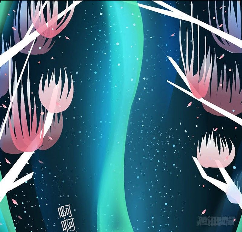 星与光与花9