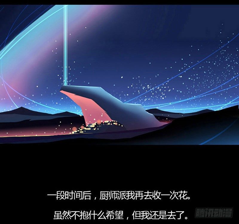 睡莲19