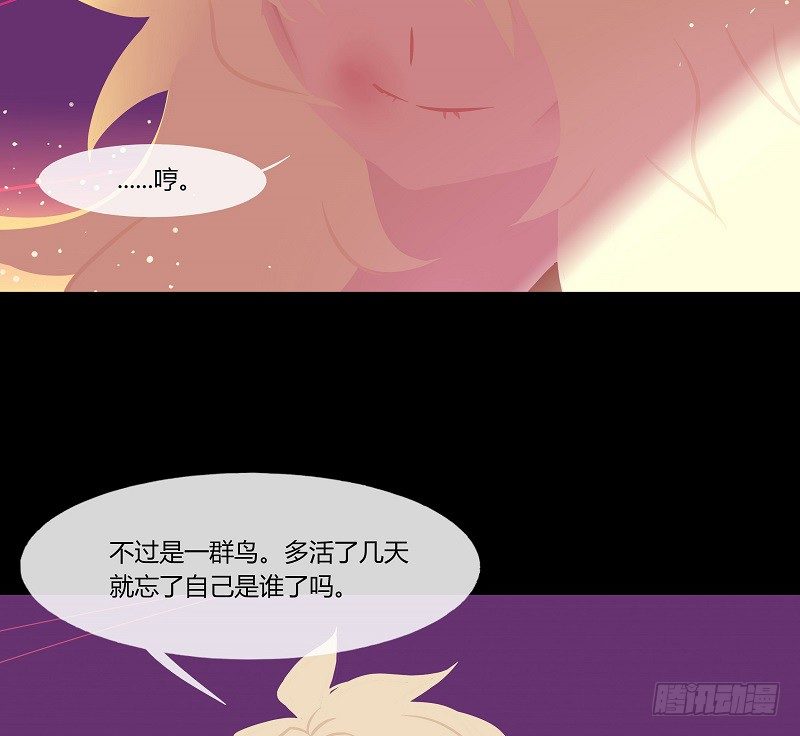溯源鸟 下25
