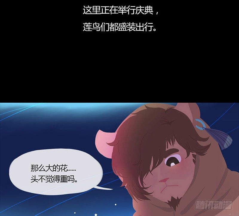 睡莲5