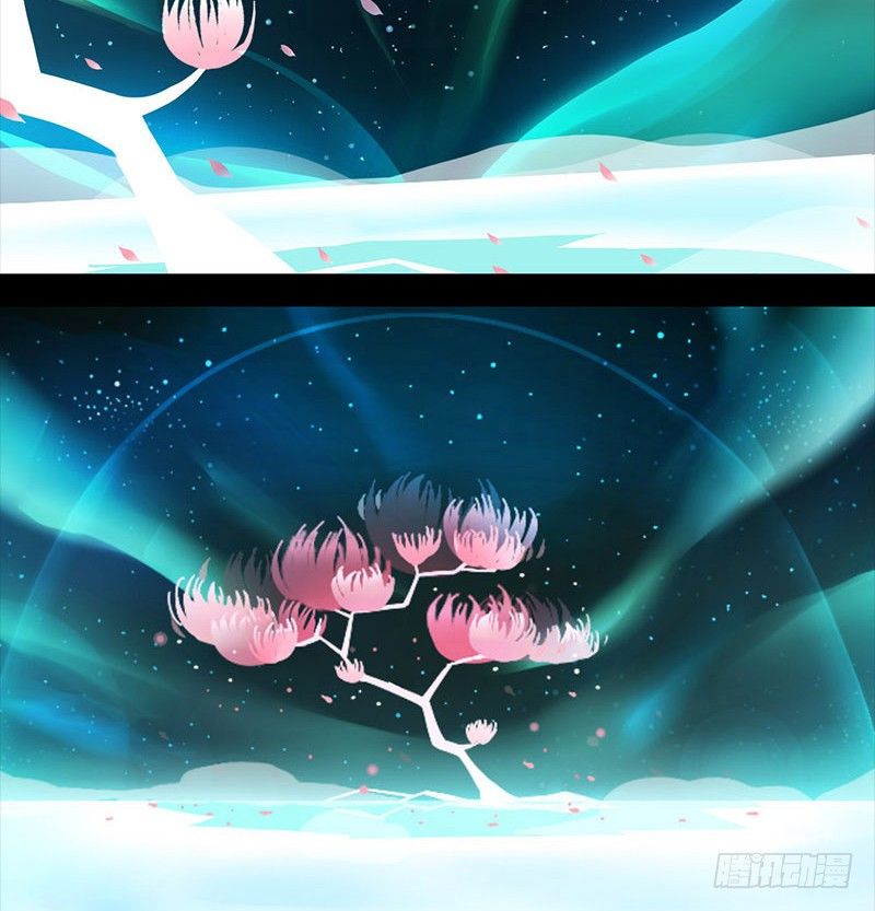 星与光与花3