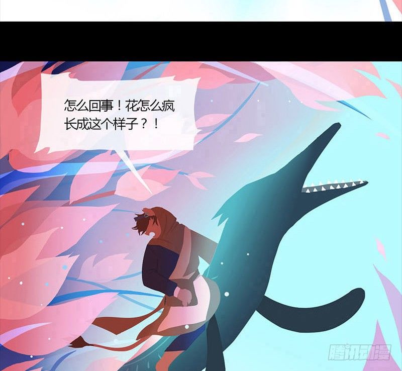 复生莲20