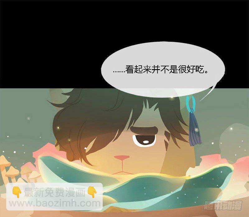 长生雾16