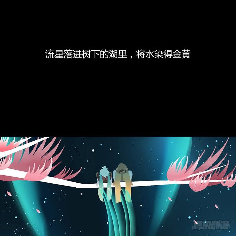 星与光与花22