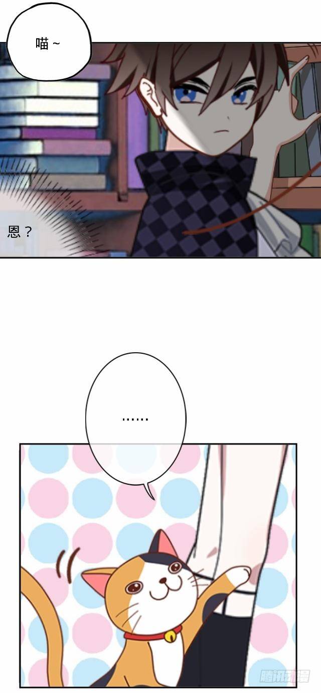 怕猫篇（上）13