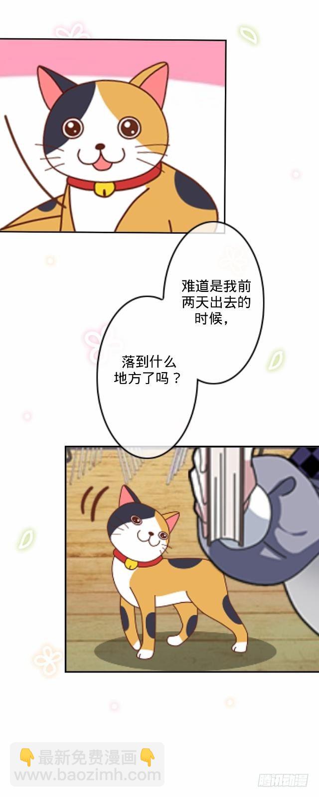 怕猫篇（上）12