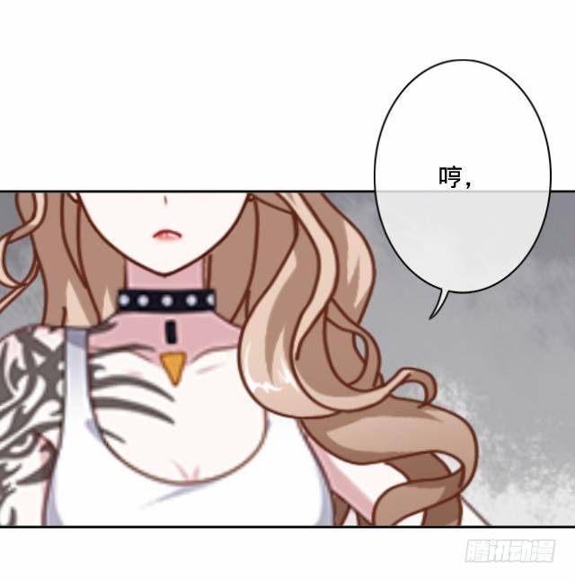 惹人别惹红皇后14
