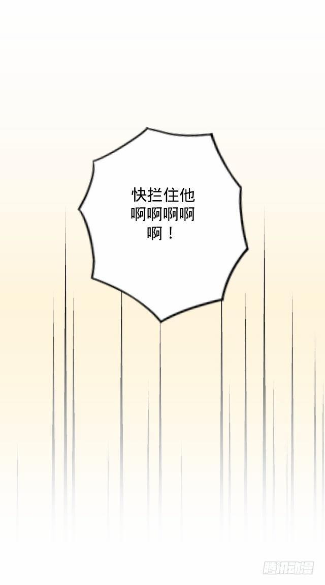 篮球场上的国王11