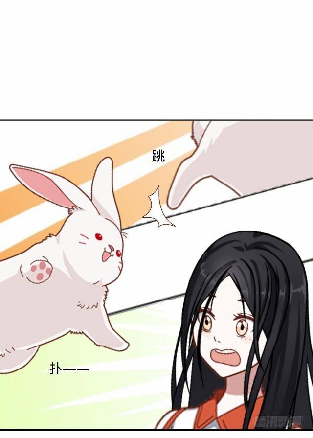 白兔欺我人迷途12