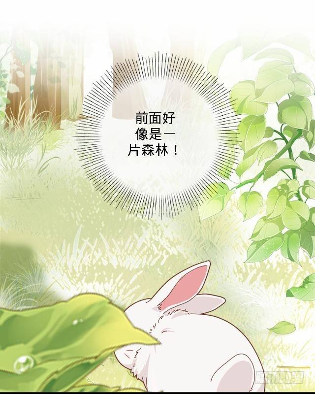 白兔欺我人迷途21