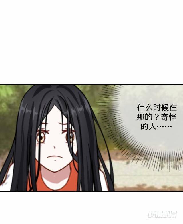 白兔欺我人迷途31