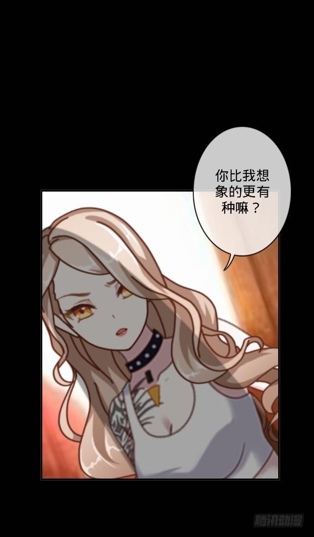 惹人别惹红皇后25