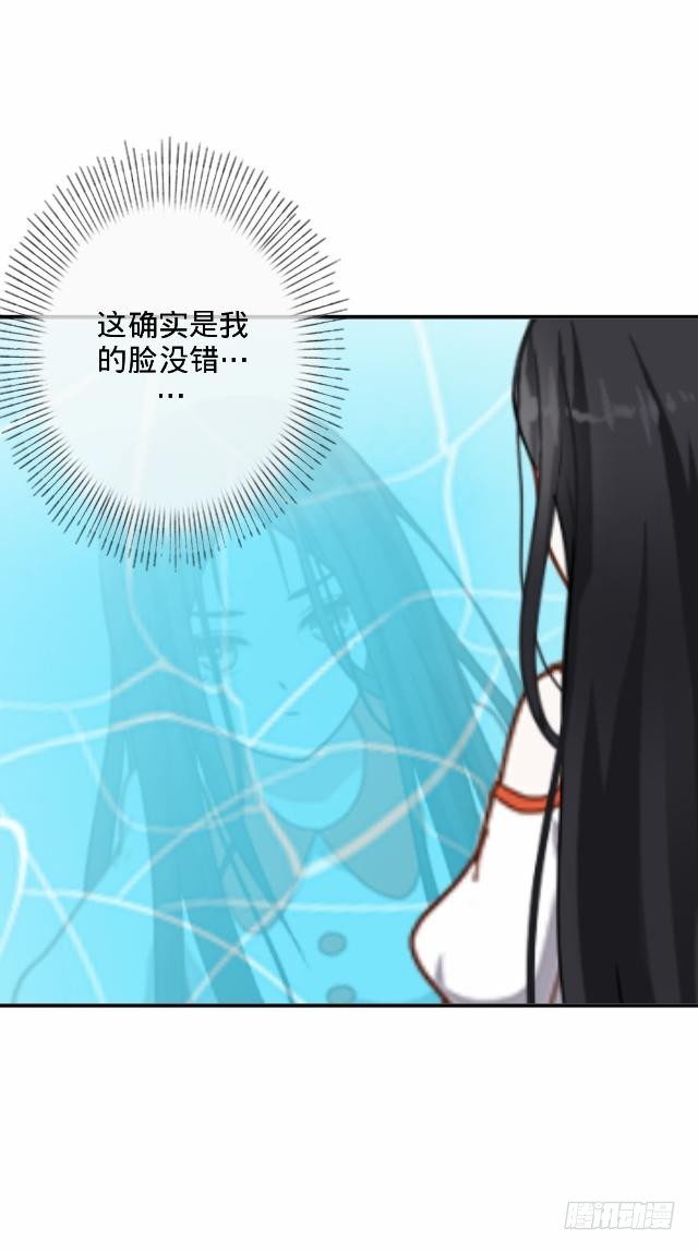 白兔欺我人迷途2