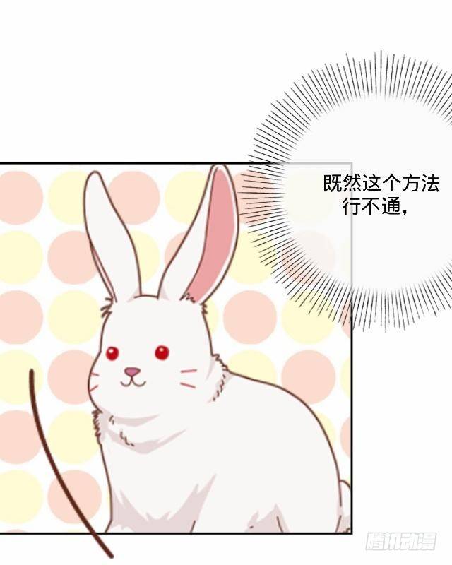白兔欺我人迷途10