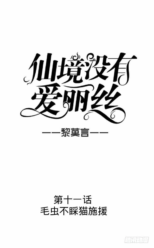 毛虫不睬猫施援17