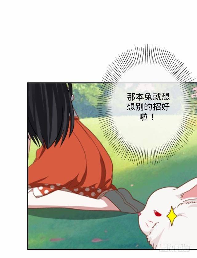 白兔欺我人迷途11
