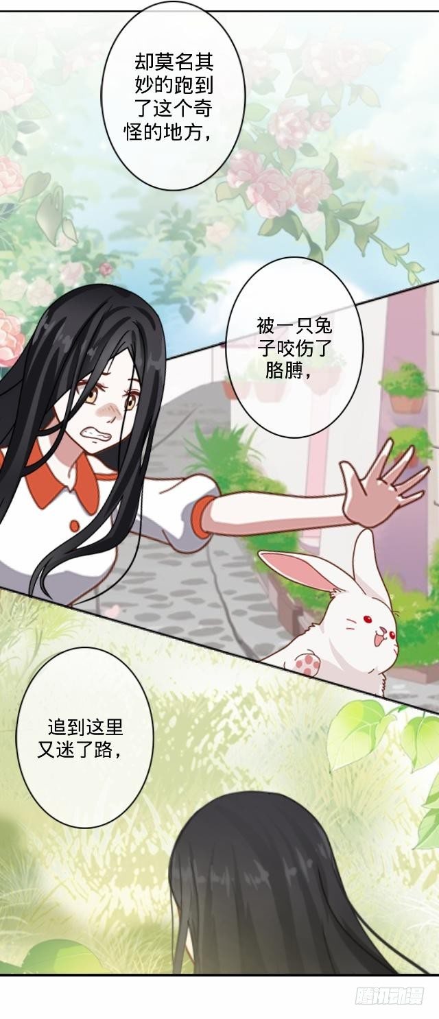毛虫不睬猫施援6