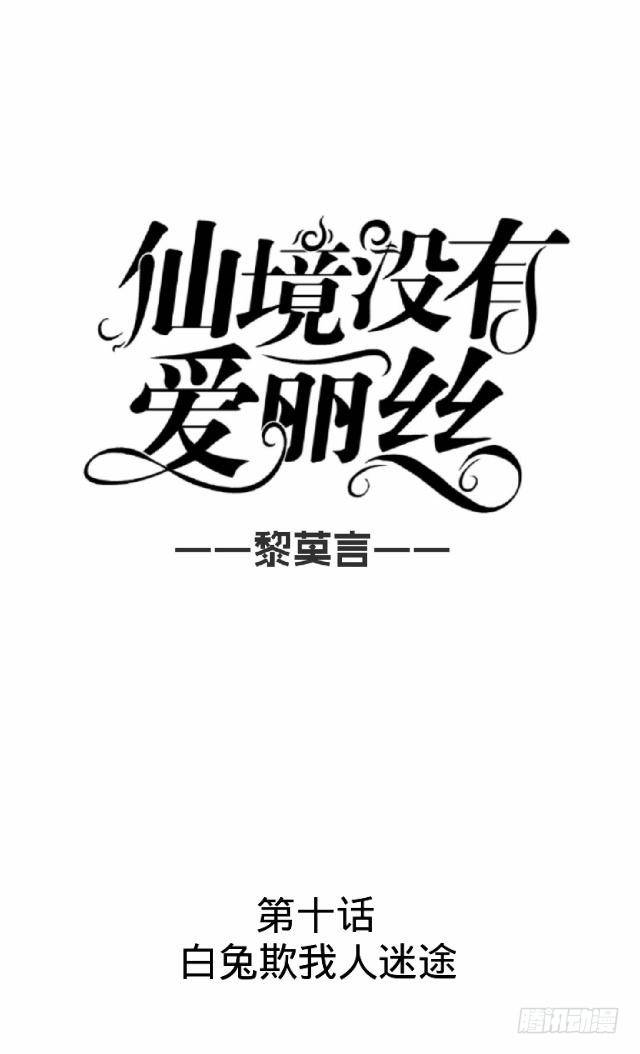白兔欺我人迷途15
