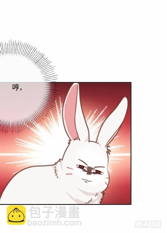 白兔欺我人迷途22