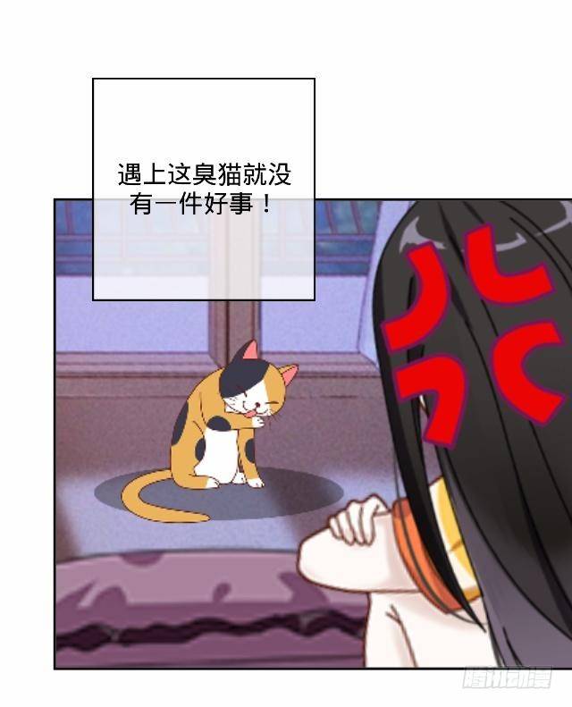 怕猫篇（中）26