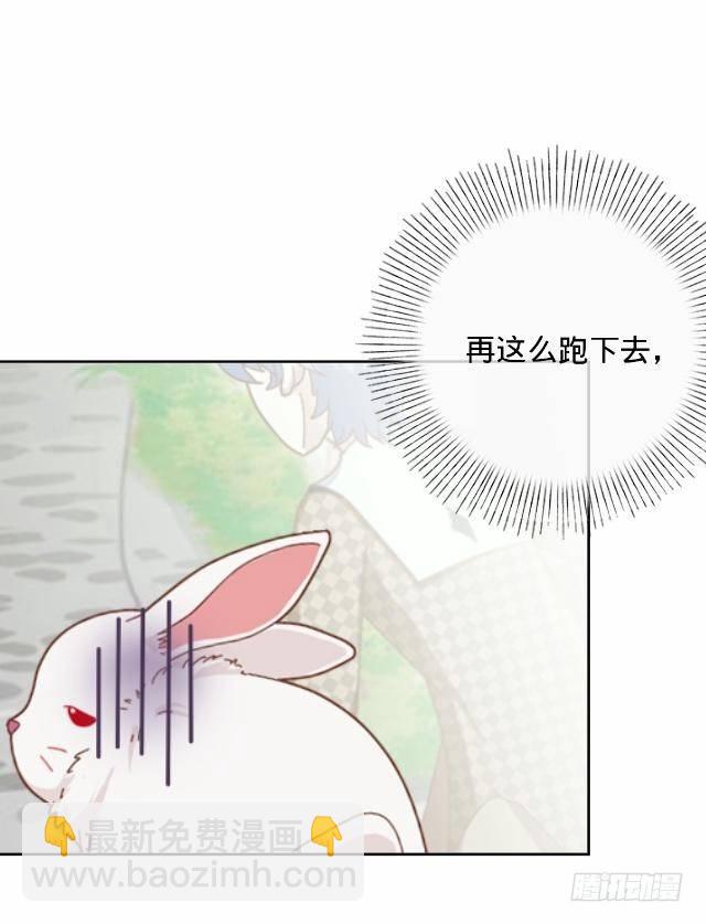 白兔欺我人迷途18