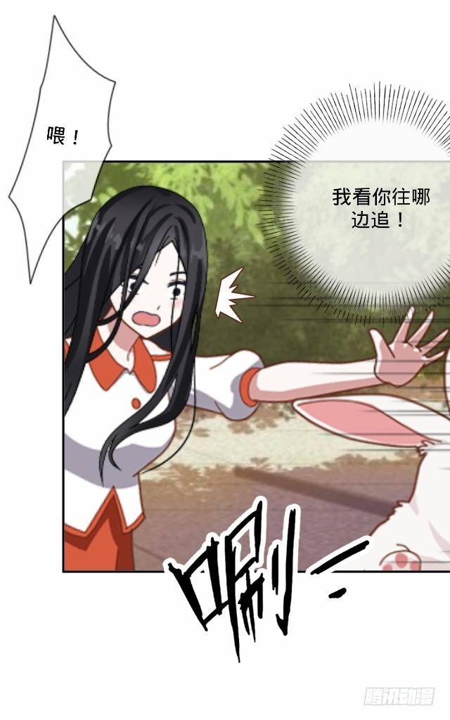 白兔欺我人迷途23