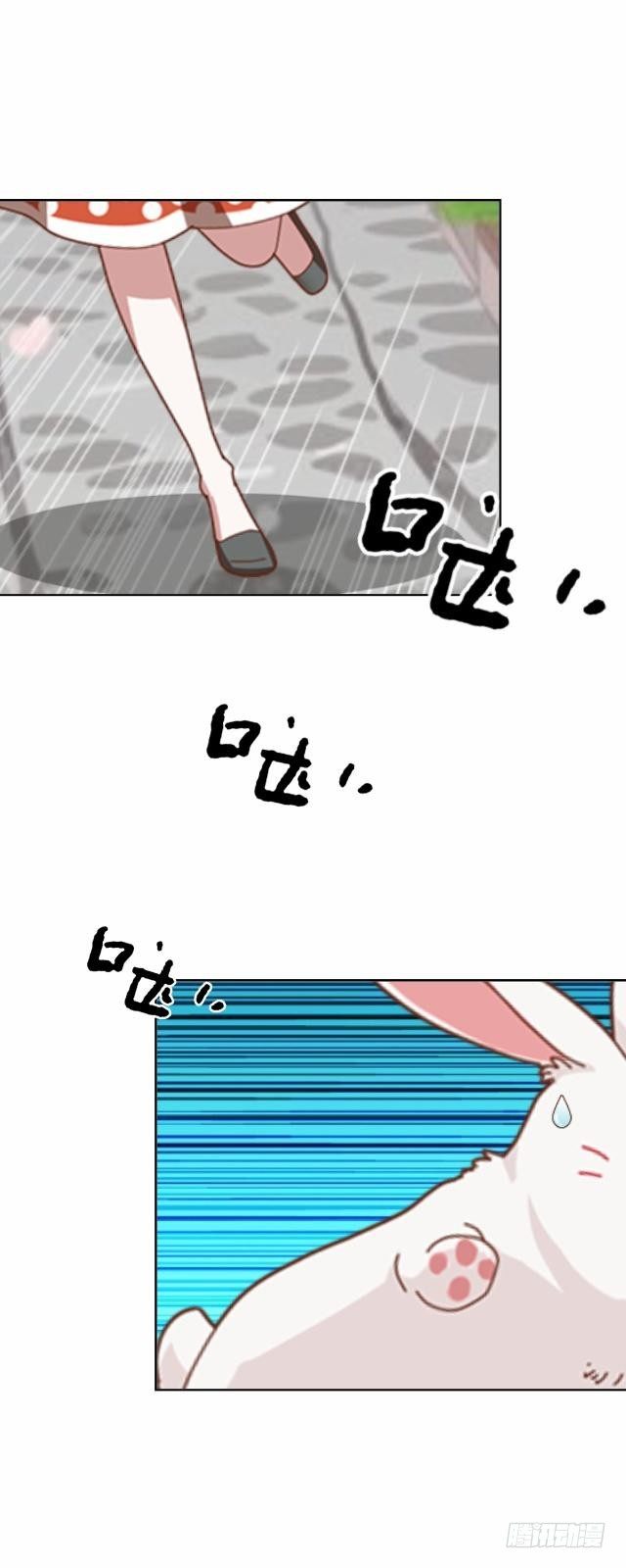 白兔欺我人迷途16