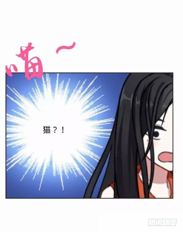 毛虫不睬猫施援24