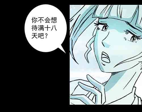 正反面337
