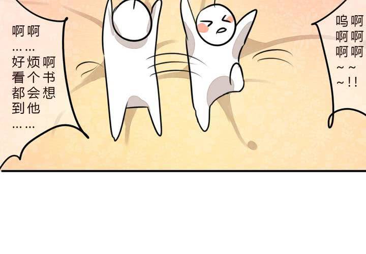 冲突6