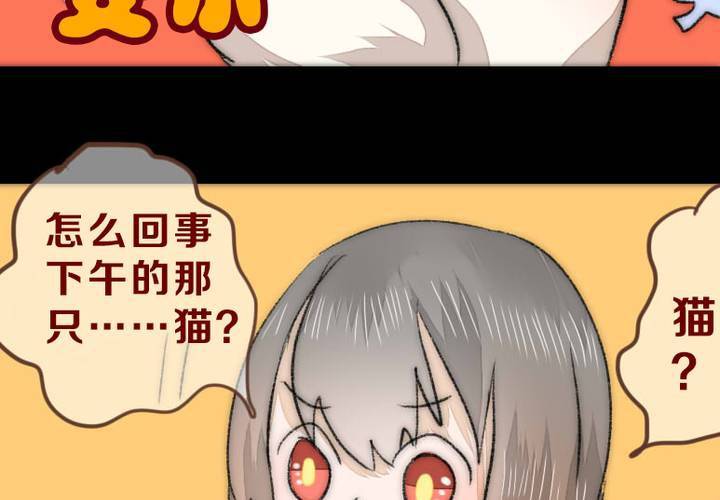他与她的相遇59