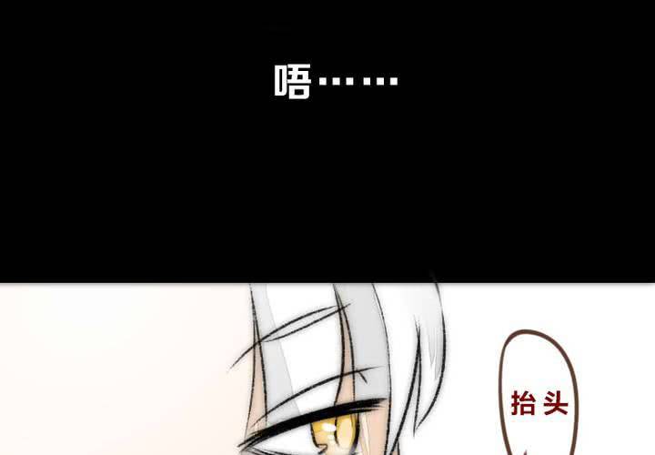 他与她的相遇55