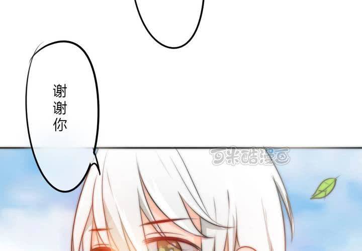 淡淡的距离24