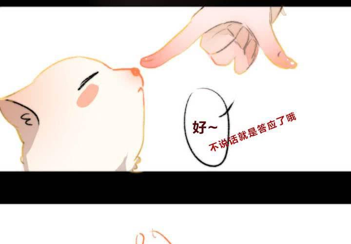 他与她的相遇27