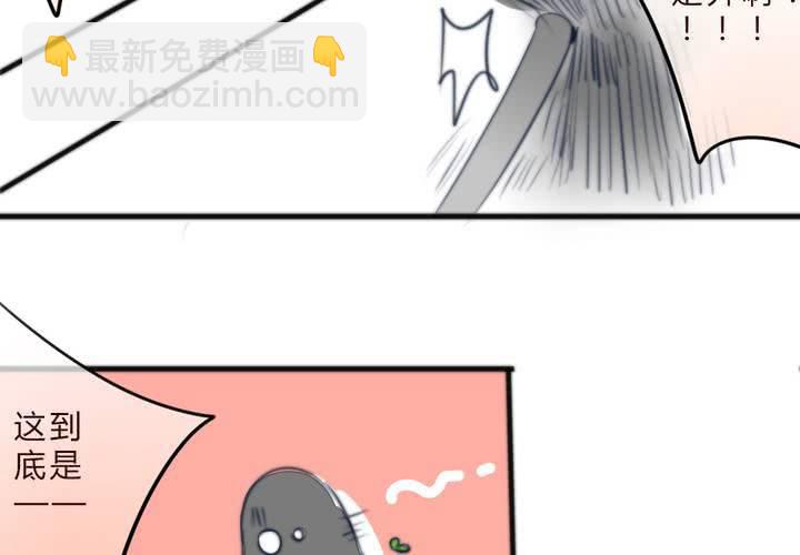 追寻23